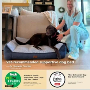 Orthopedic Memory Foam Pet Bed